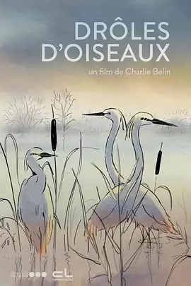 神菜美舞番号